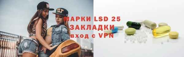 стаф Верея