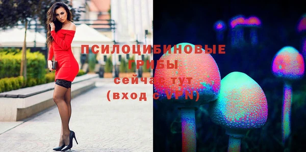 метадон Богородицк
