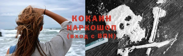 стаф Верея